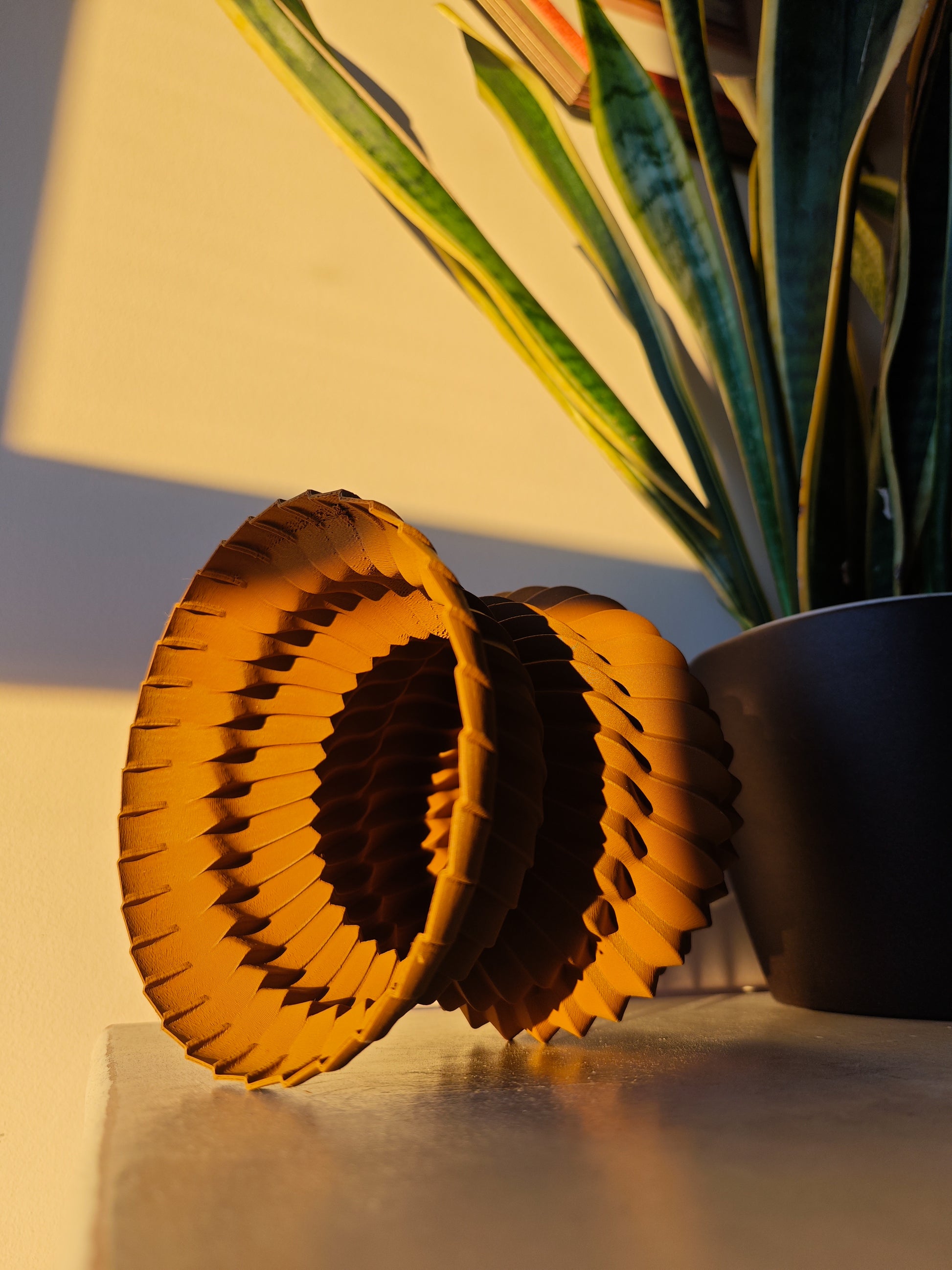 a vase with a plant in it next to a pair of paper fans