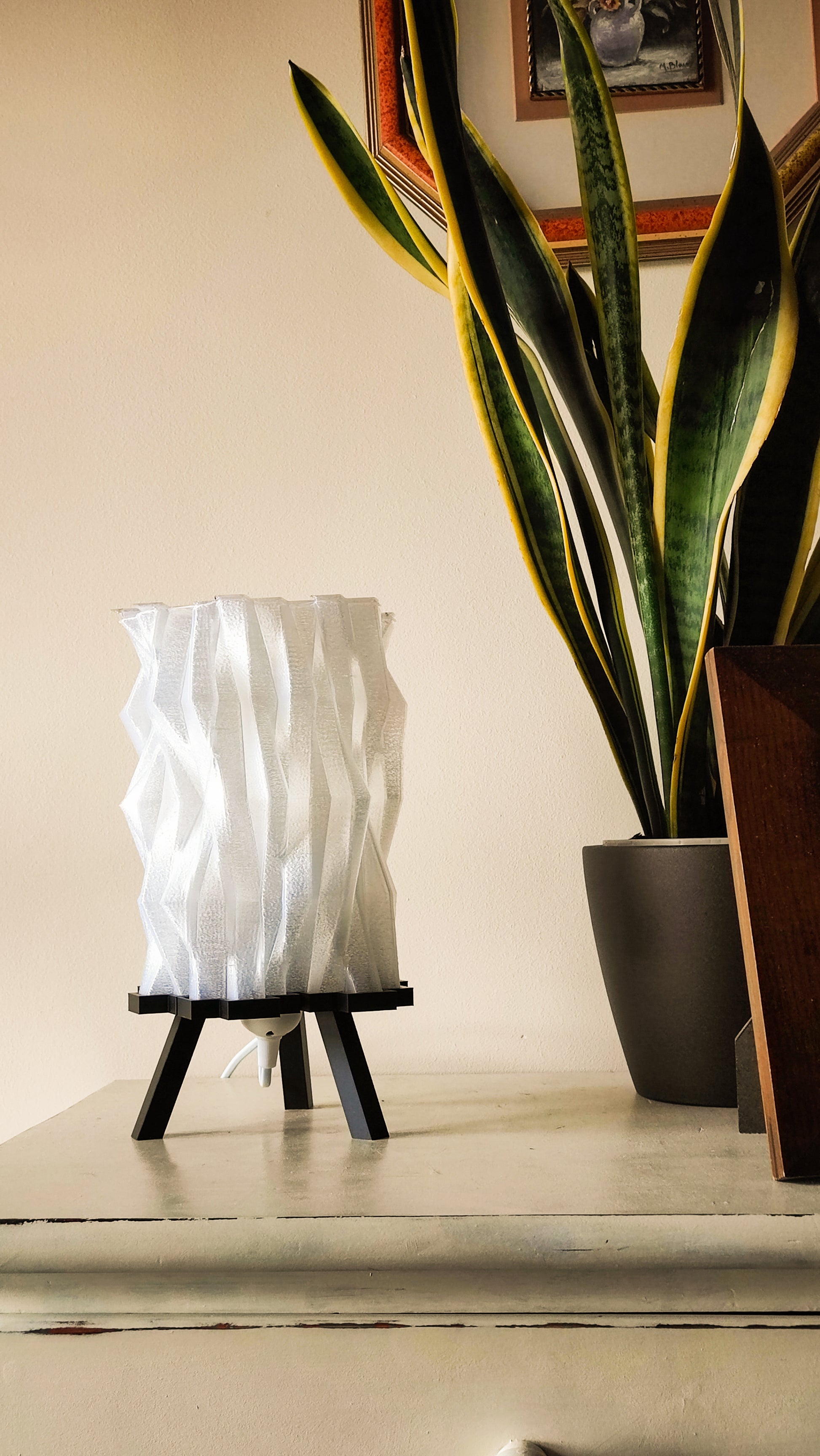 a potted plant sitting on top of a table