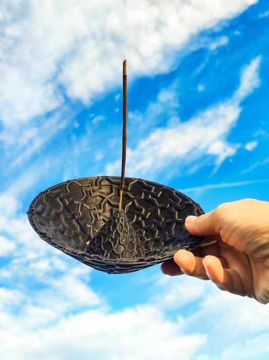 a person holding a black object in the air